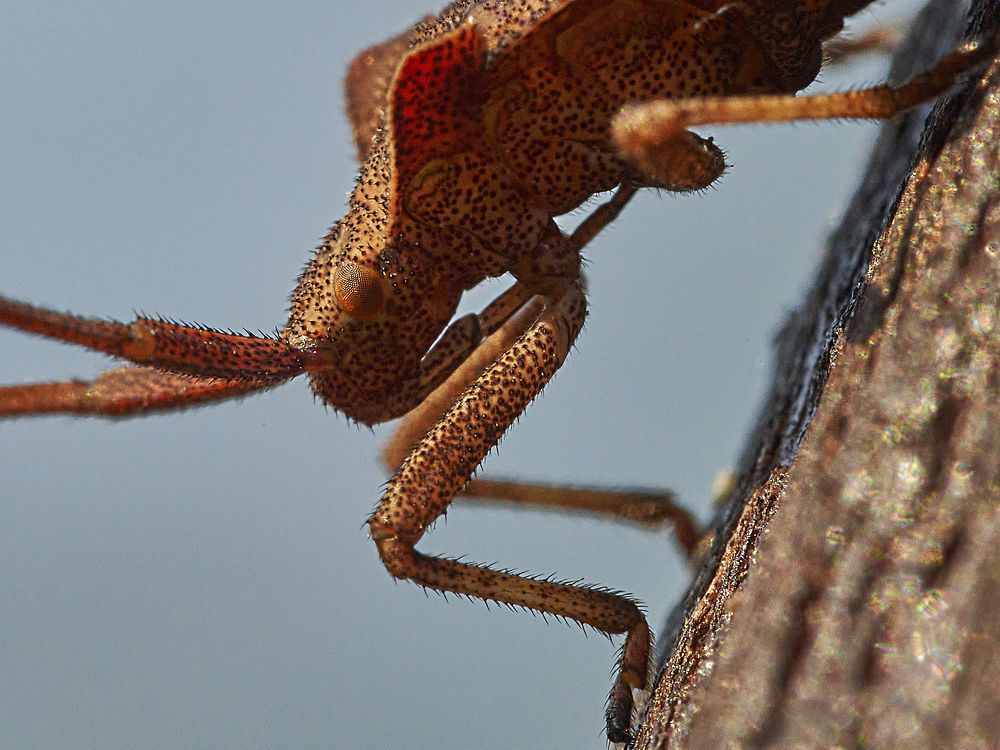 Photograph by Игорь Зиновьев