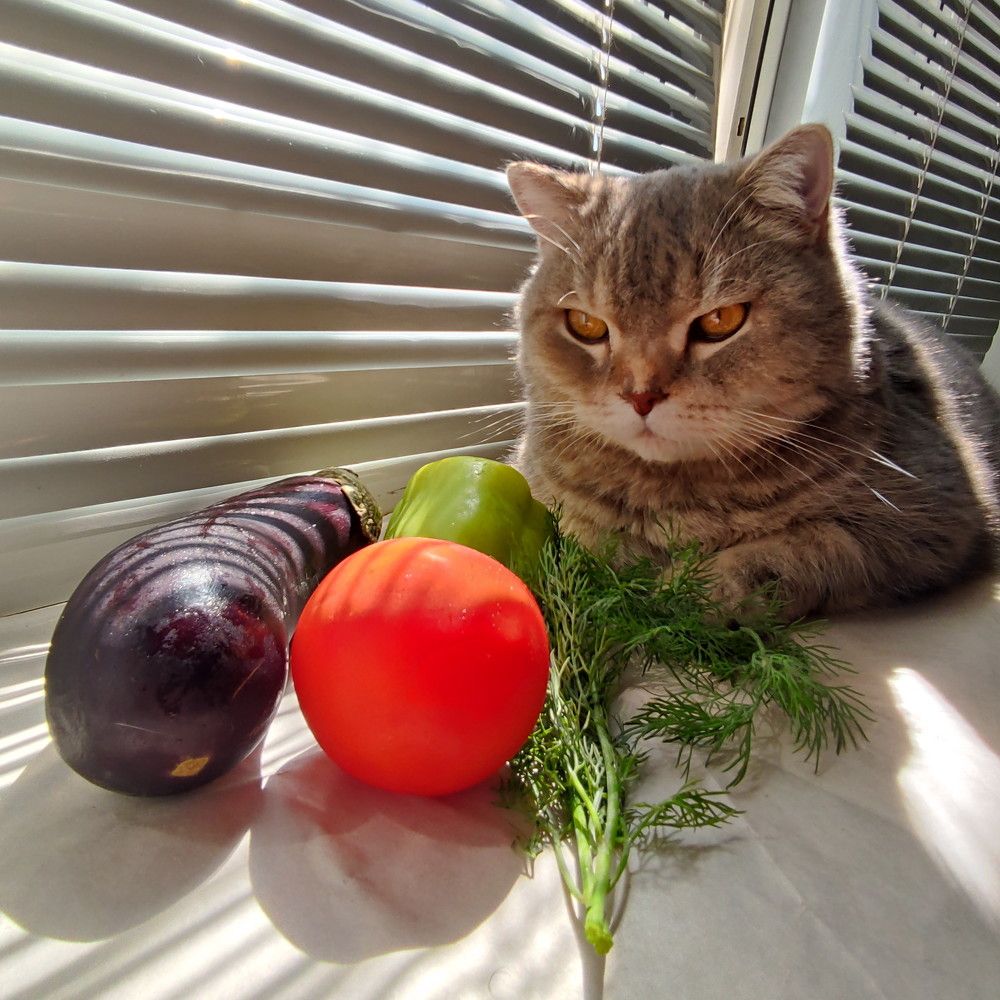 Photograph by Владимир Вялков