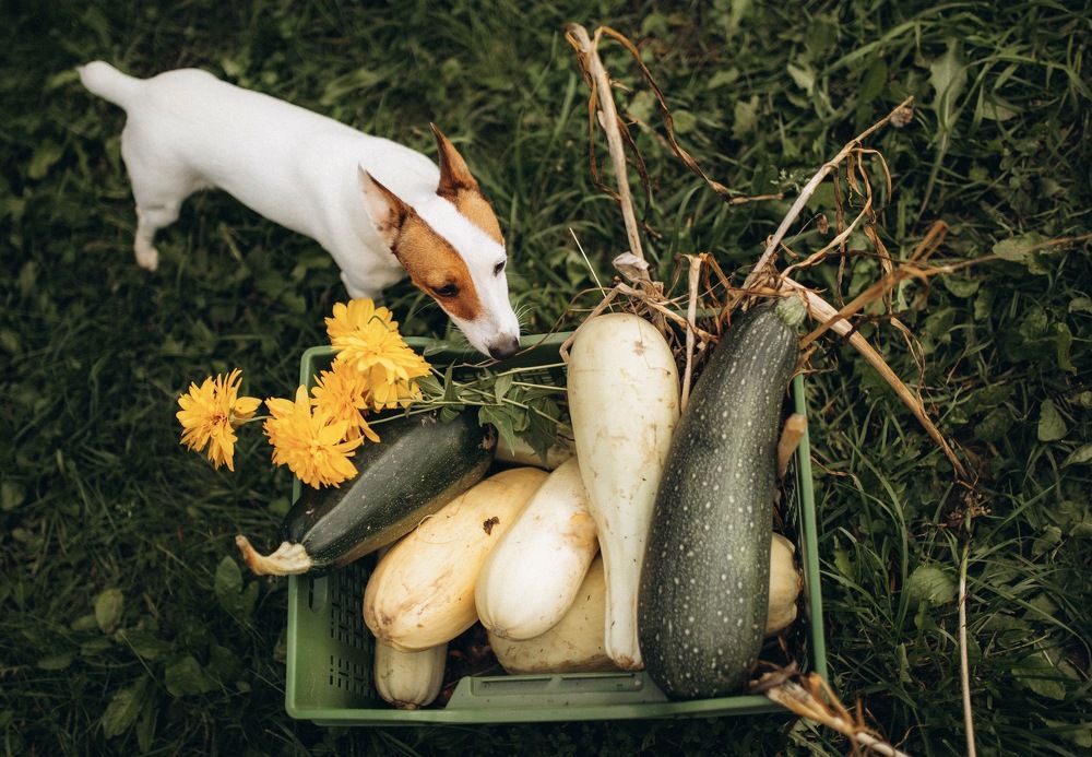 Photograph by Ольга Гаврилова