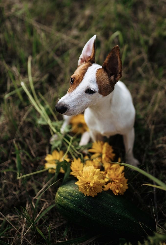 Photograph by Ольга Гаврилова