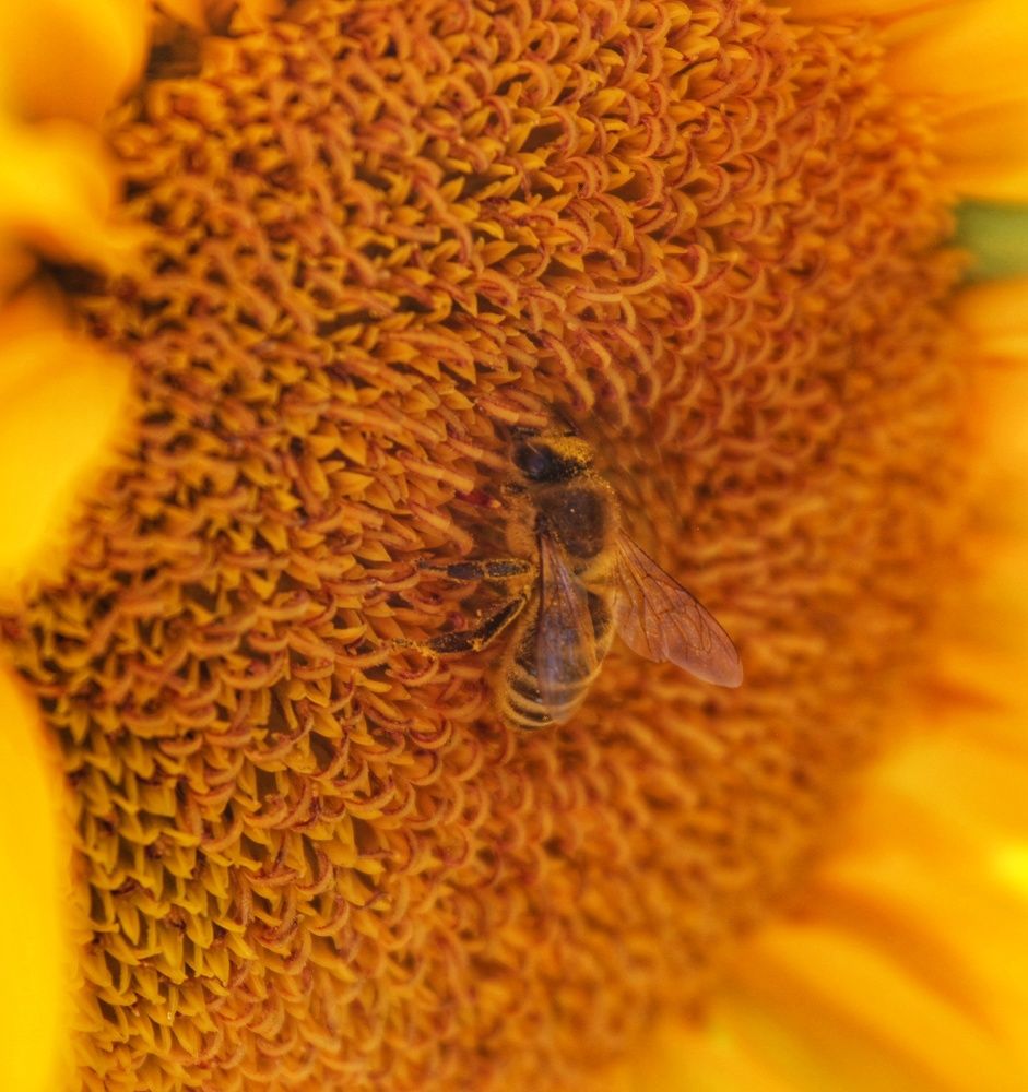 Photograph by Татьяна Сычева