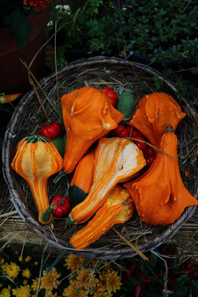 Photograph by Светлана Шуткова