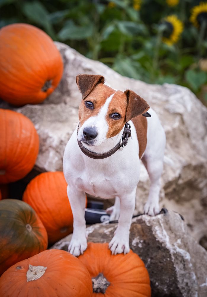 Photograph by Anna Spiridonova