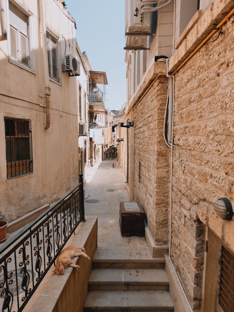 Photograph by Inna Iudina