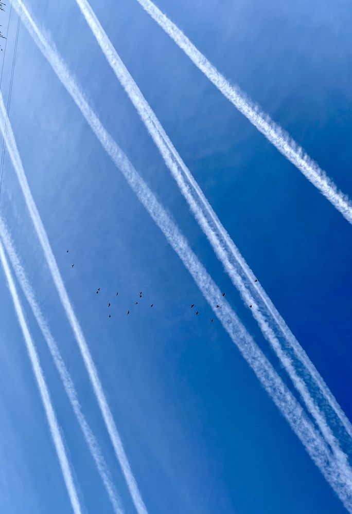 Photograph by Natalya Царева