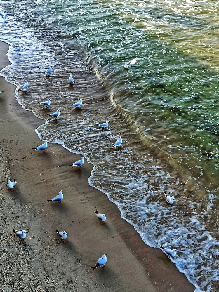 Photograph by Дина Полухина