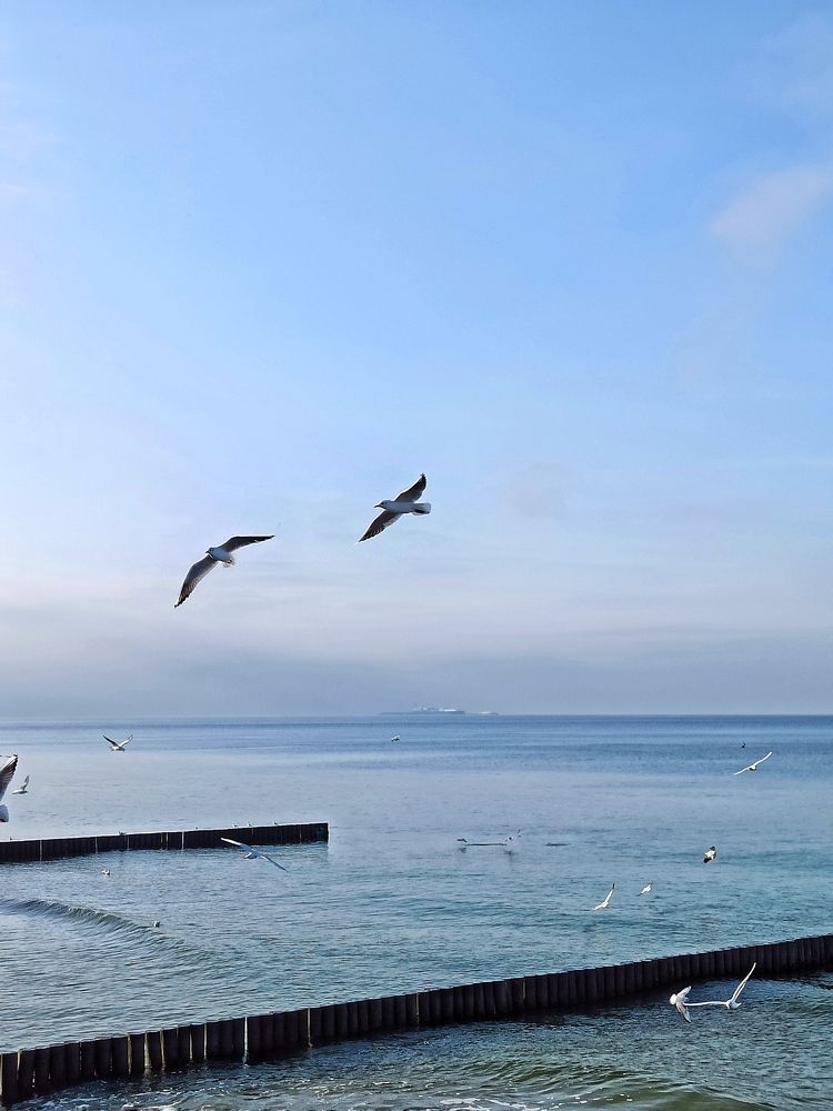 Photograph by Дина Полухина