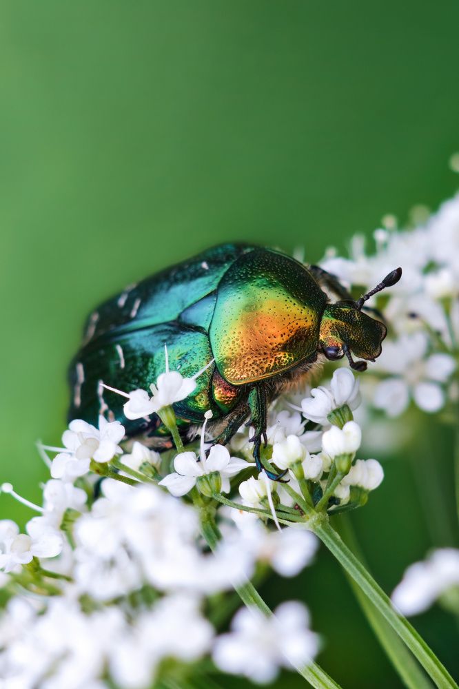 Фотография автора Александр Сурков