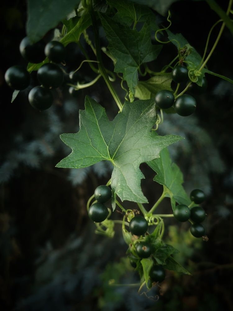 Photograph by Татьяна Сычева