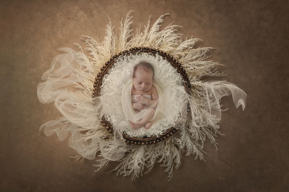 Photograph by Karen DLucca