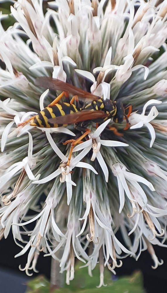 Фотография автора Ольга