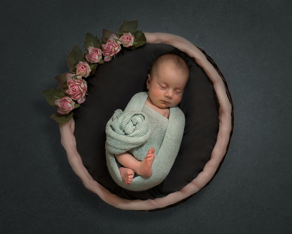 Фотография автора Solmaz Sadeghi