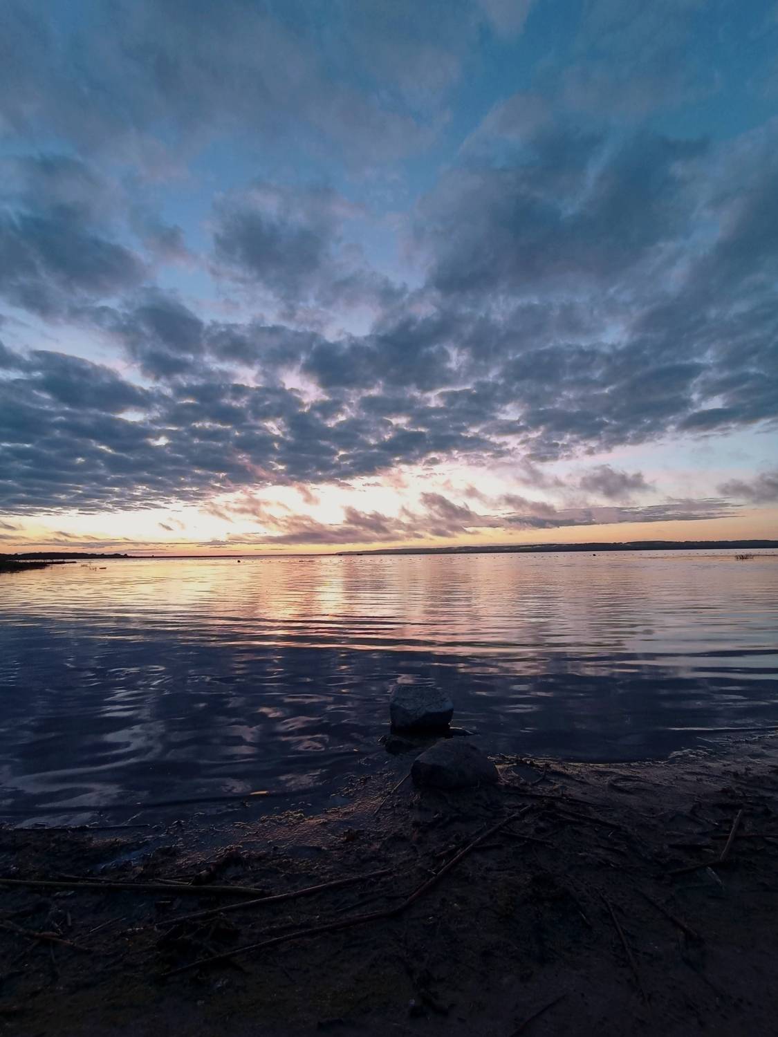 Photo #9459745
