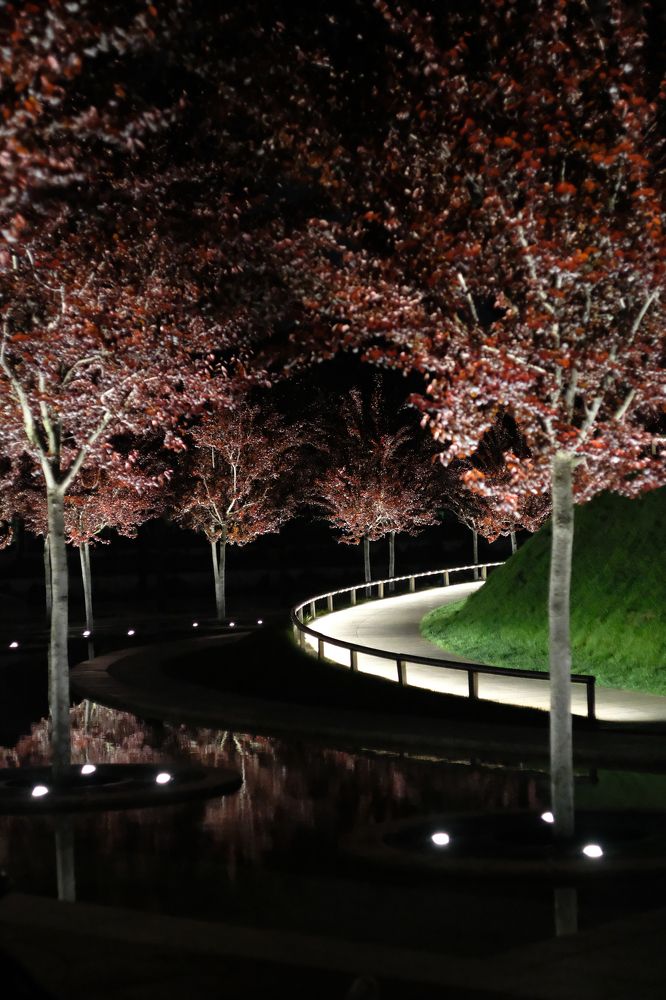 Photograph by Tatiana Teit Ash