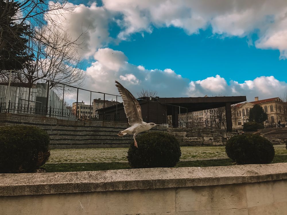 Photograph by Olya Molchanova