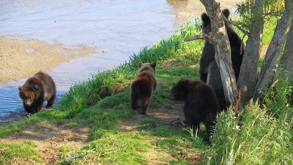 Photograph by Соколова Елена