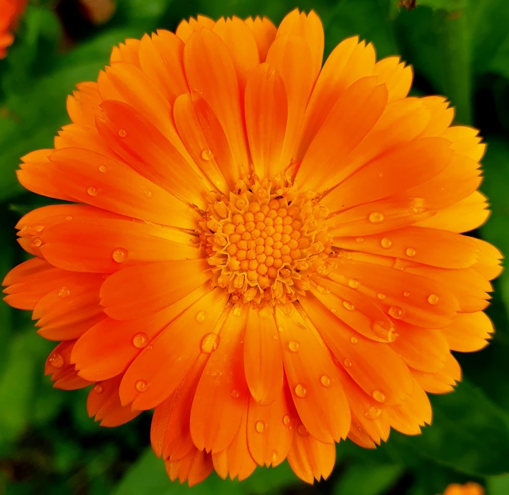 Photograph by Яна Галимуллина