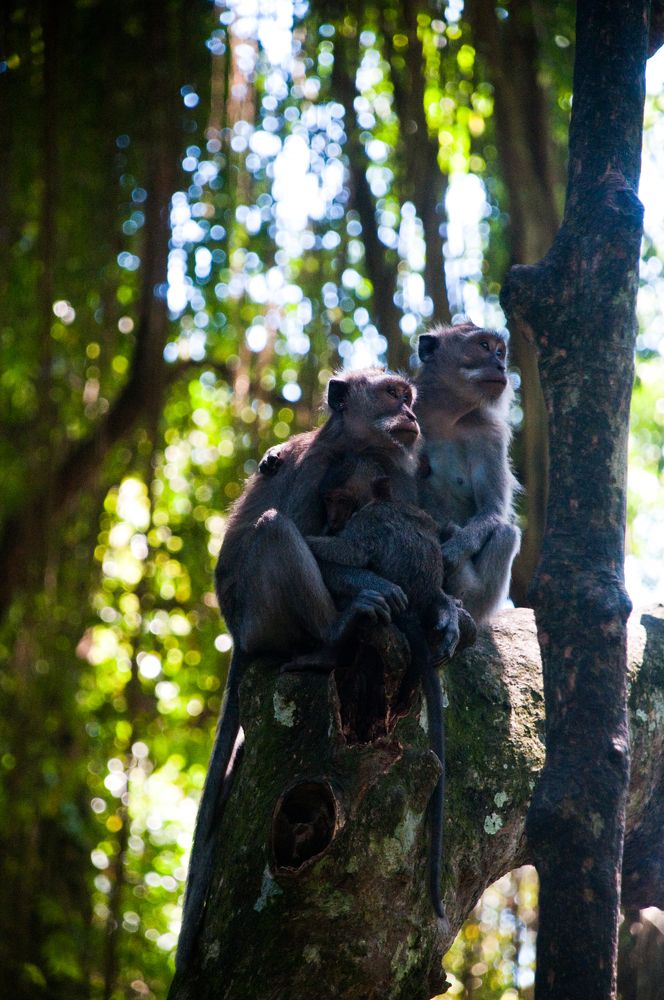 Photograph by Yana Vitkovskaya