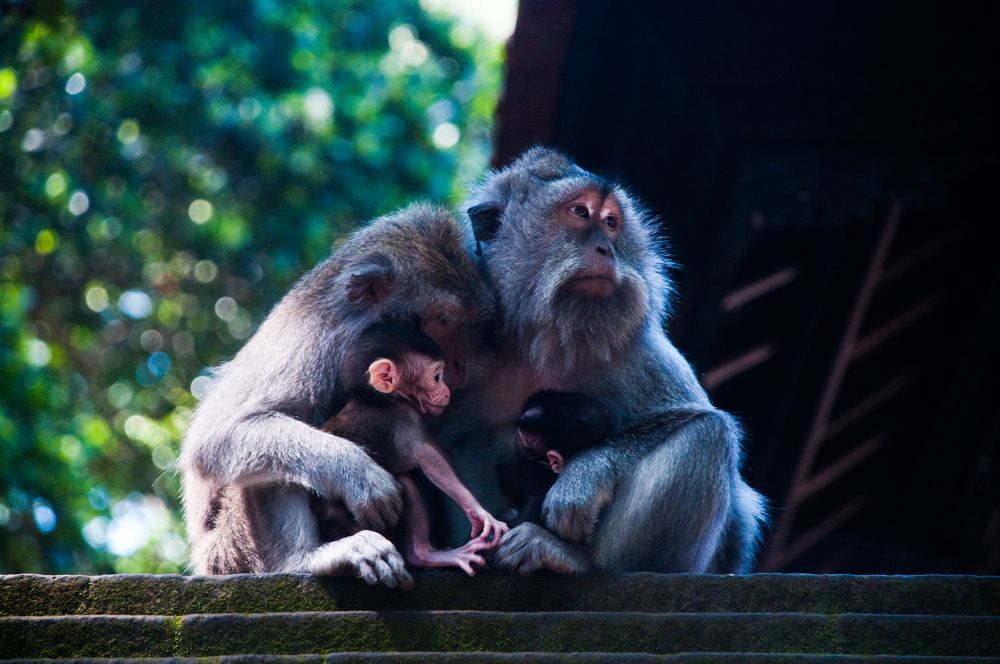 Photograph by Yana Vitkovskaya