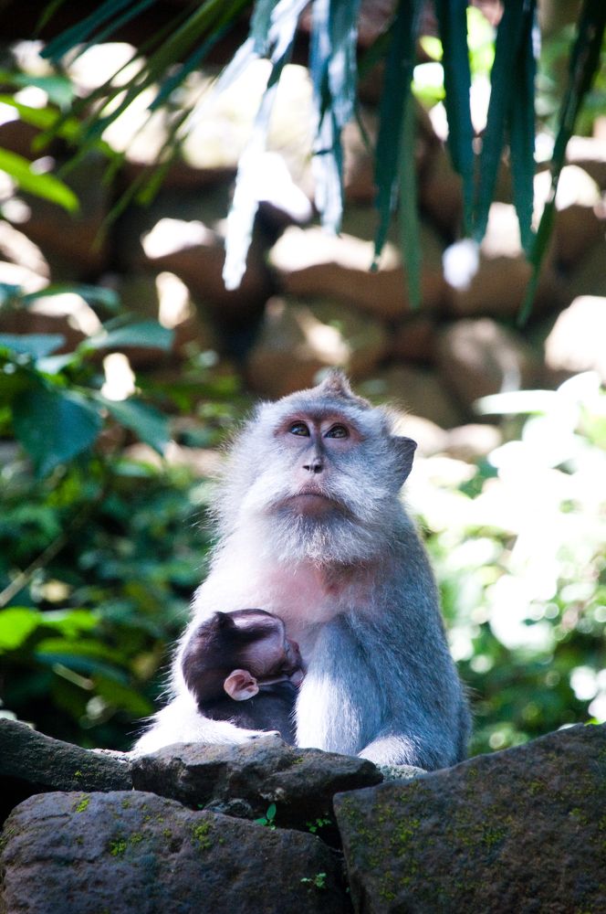 Photograph by Yana Vitkovskaya