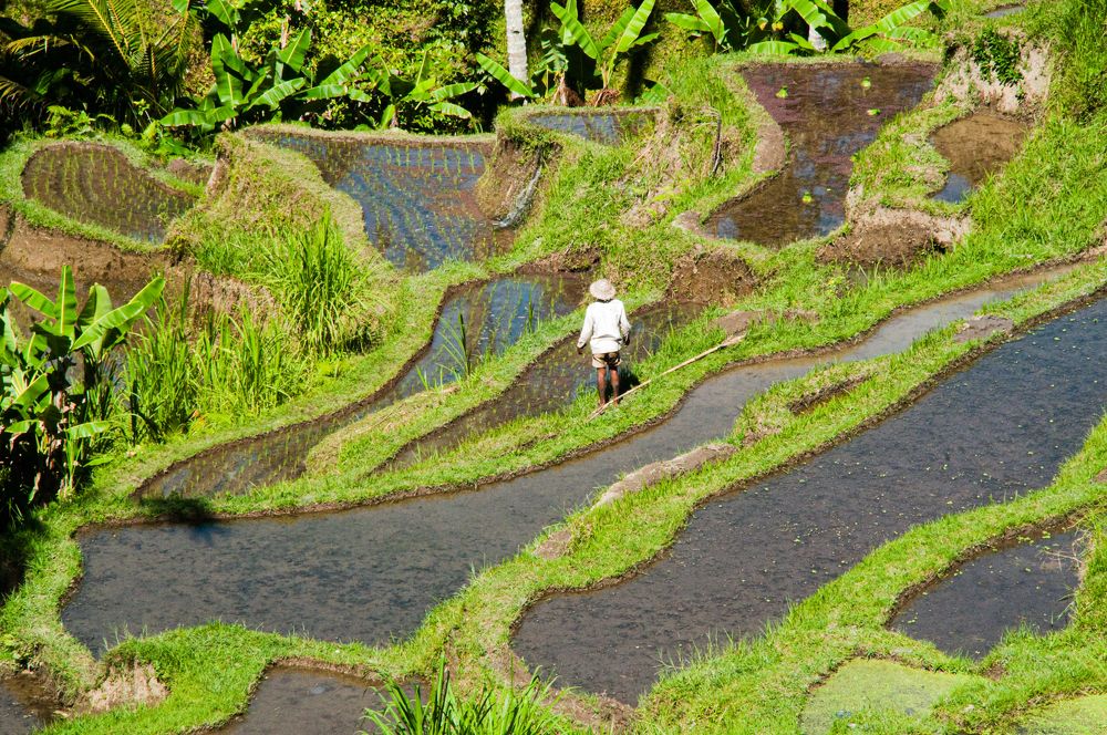 Photograph by Yana Vitkovskaya