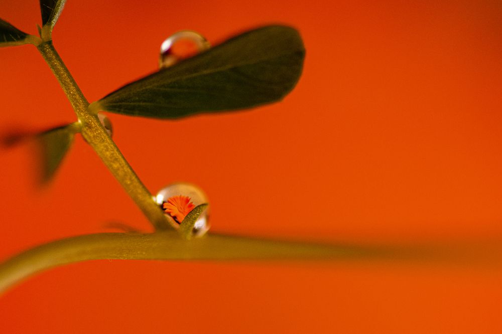 Photograph by Sandra Alvarez