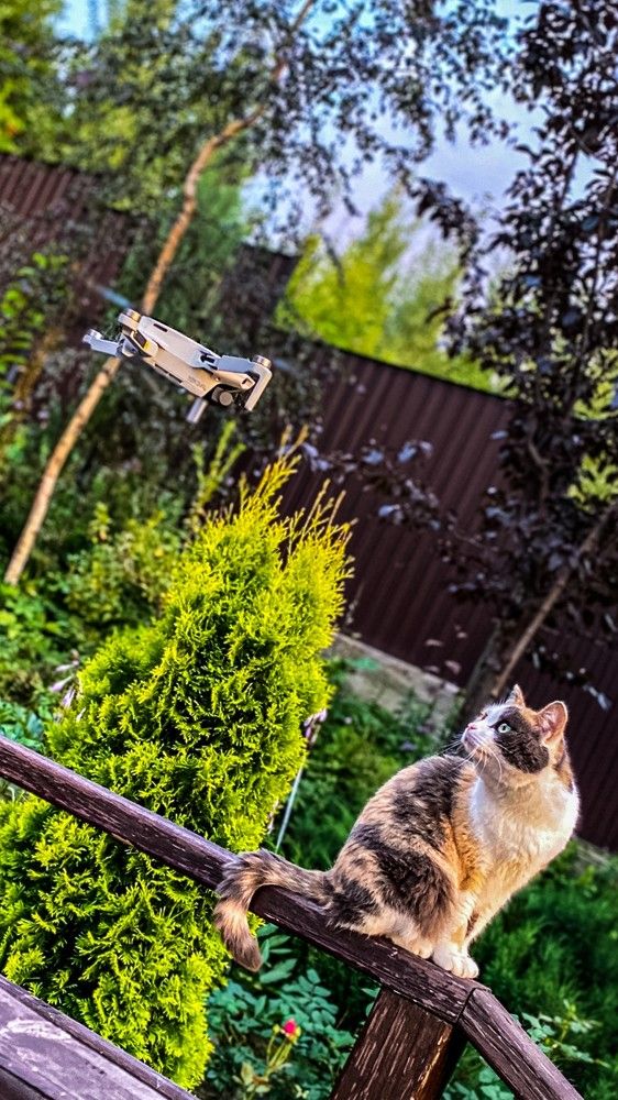 Photograph by Денис Бочаров