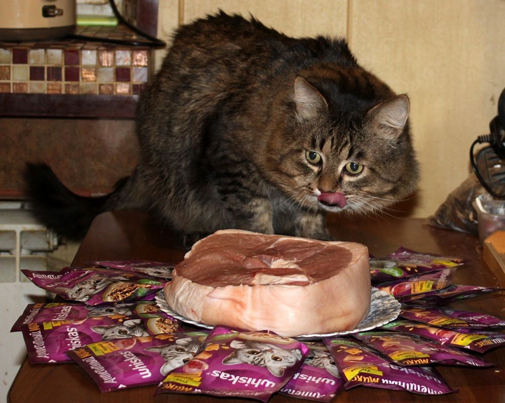 Photograph by Глеб Кузьминых