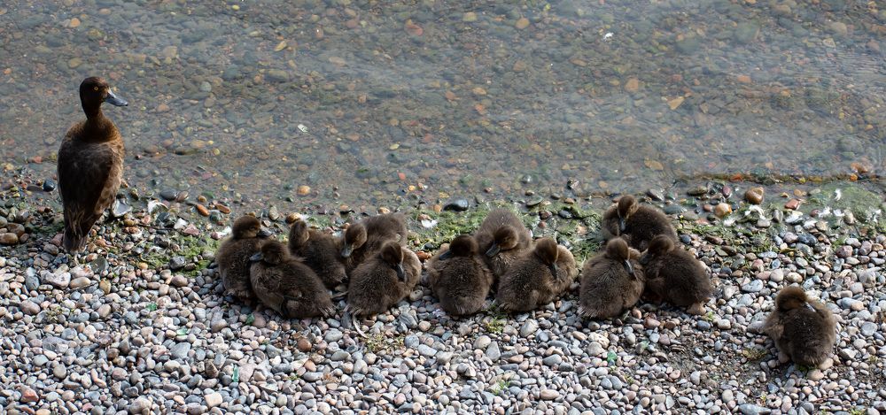 Photograph by Олег Маменко