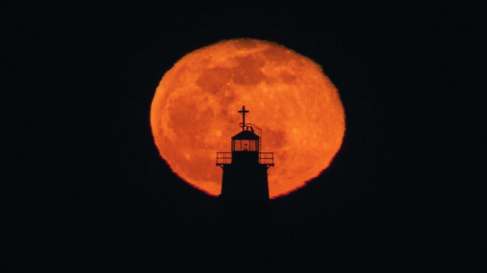 Photograph by Николай Мироненко