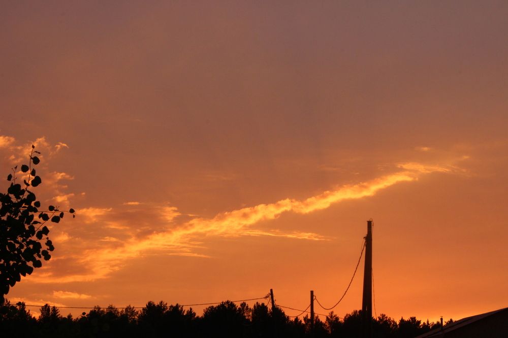 Photograph by Анастасия Чадина