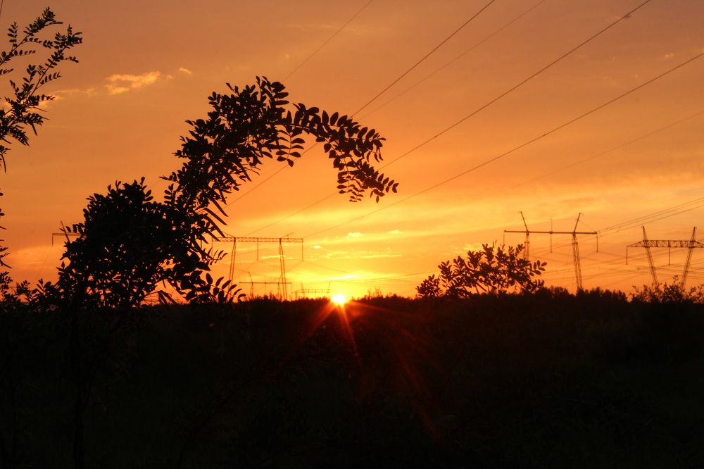 Photograph by Анастасия Чадина