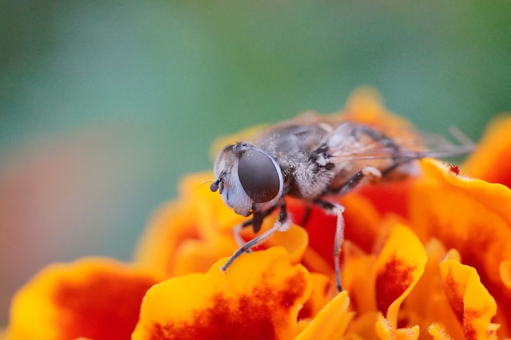 Photograph by Высотских Владимир