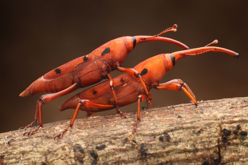 Photograph by Mark Kineth Casindac