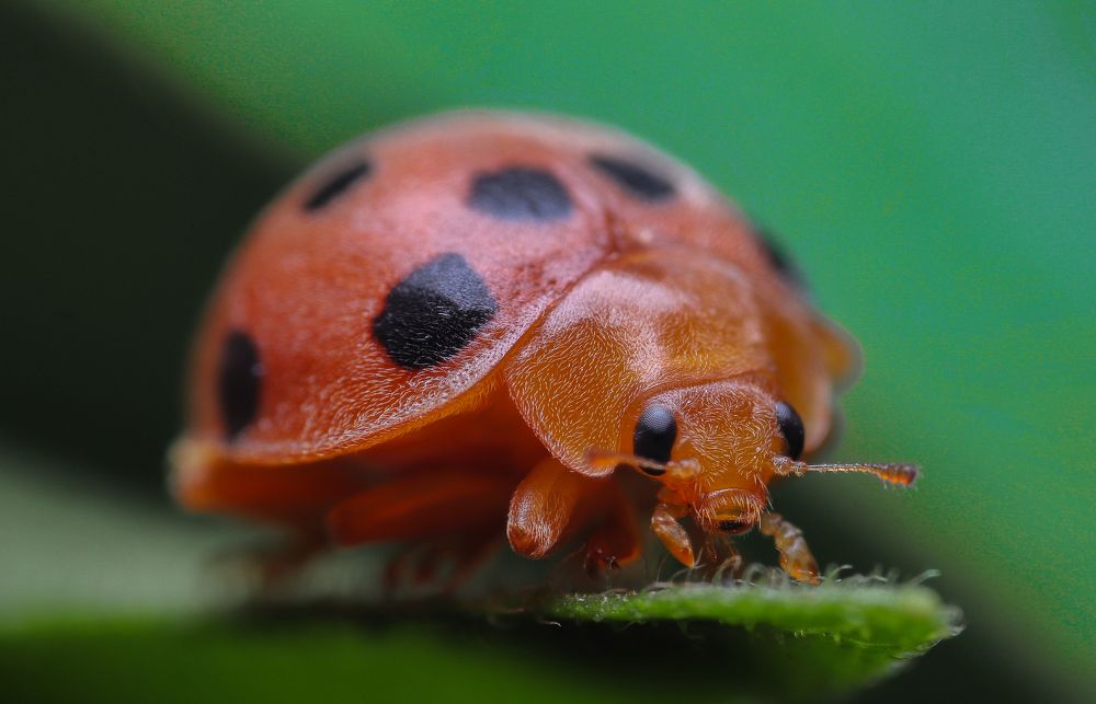 Photograph by Mark Kineth Casindac