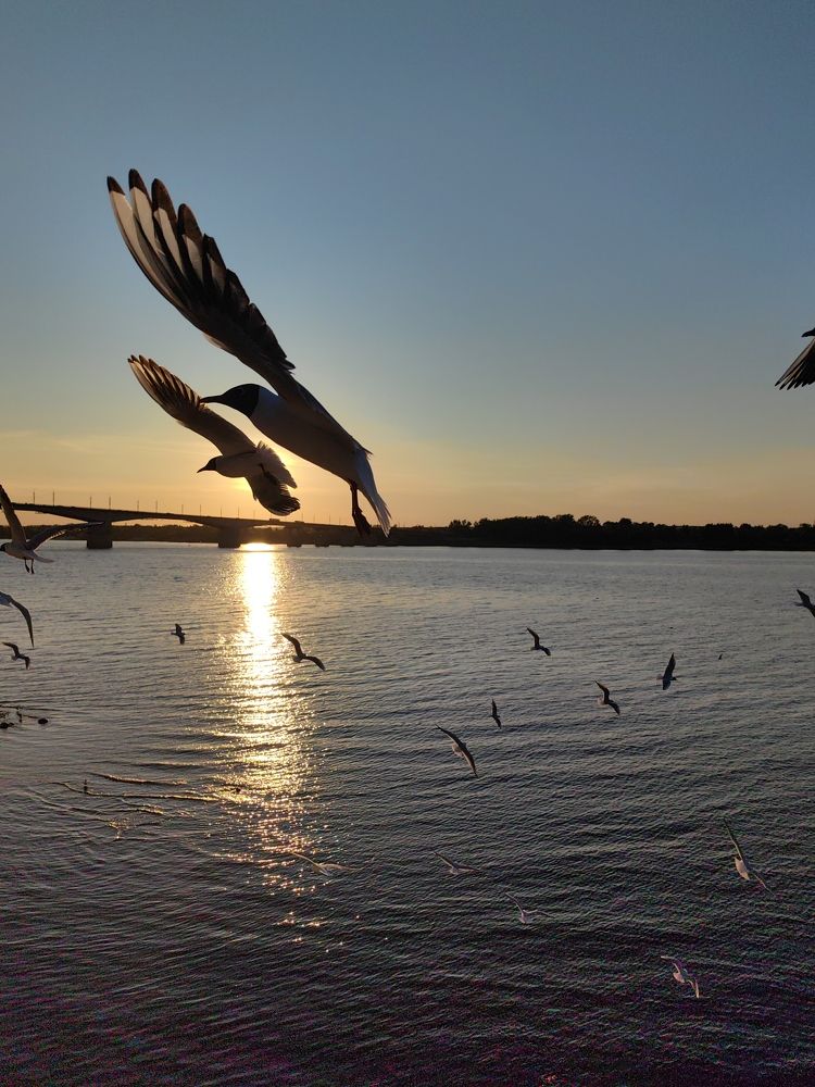 Photograph by Игорь Сапронов