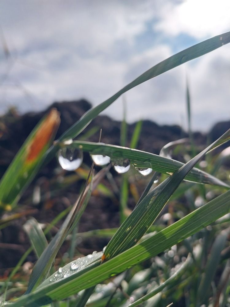 Photograph by Александр Саламатов