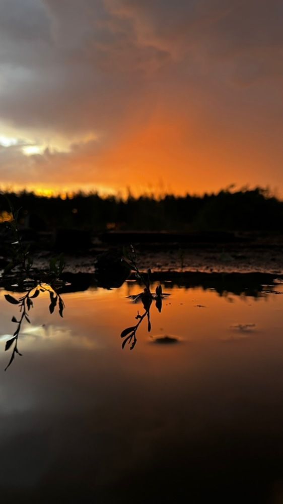 Photograph by Александр Саламатов