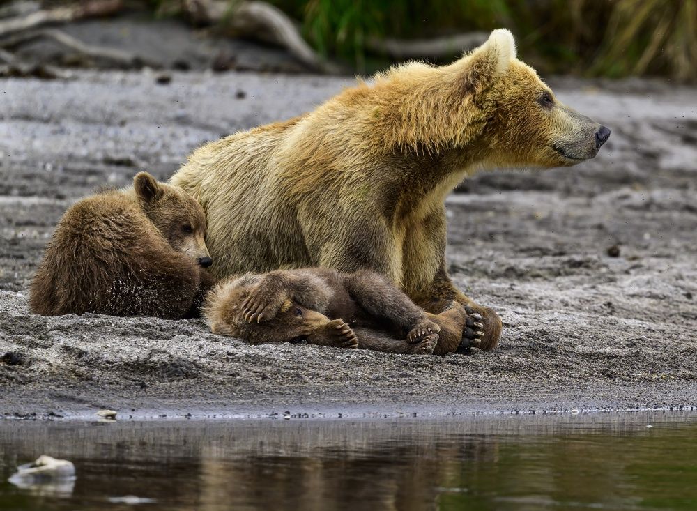 Photograph by Sergey Puponin