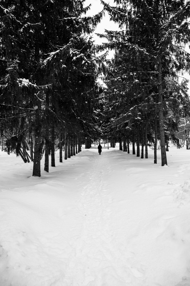 Photograph by Елена Берсенёва