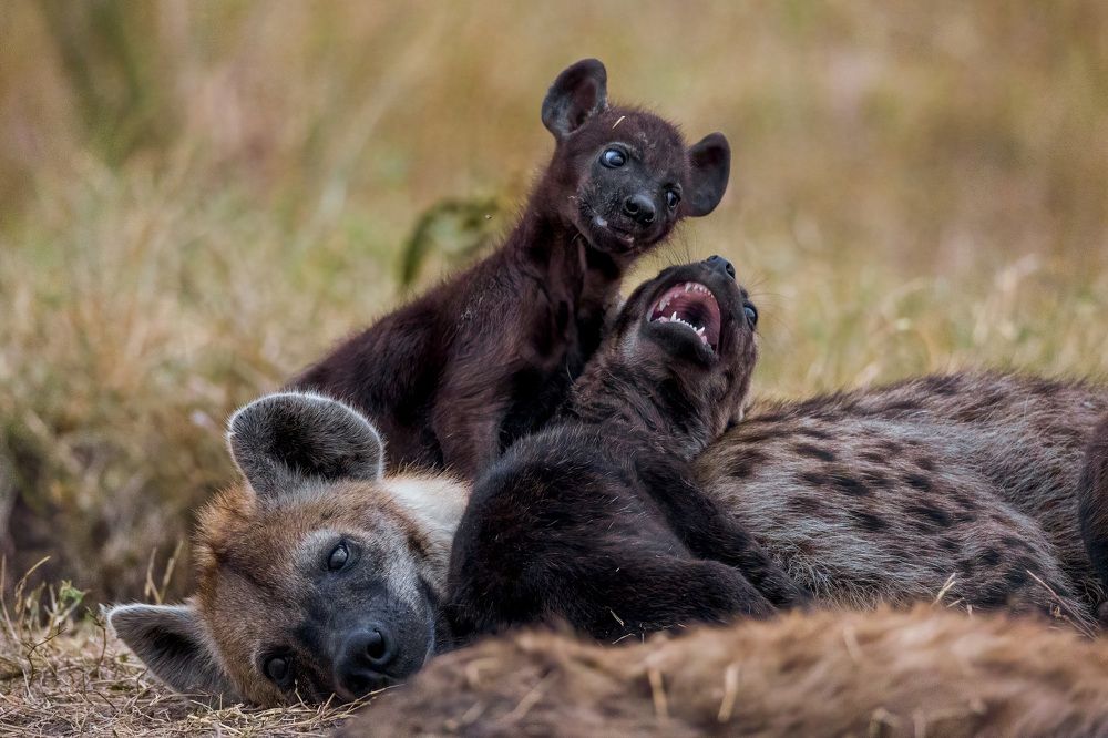 Photograph by Логунов Максим