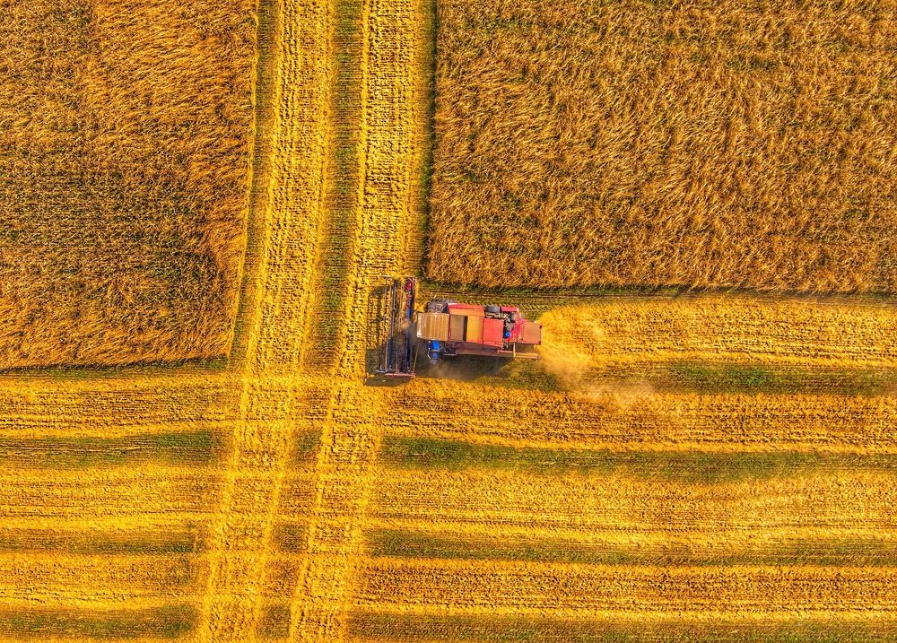 Photograph by Паша Савельев