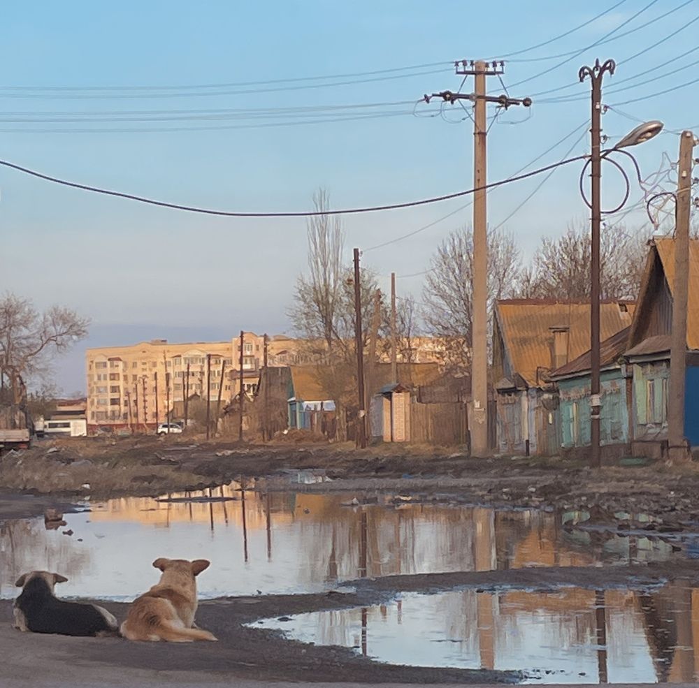 Photograph by Natalya Царева