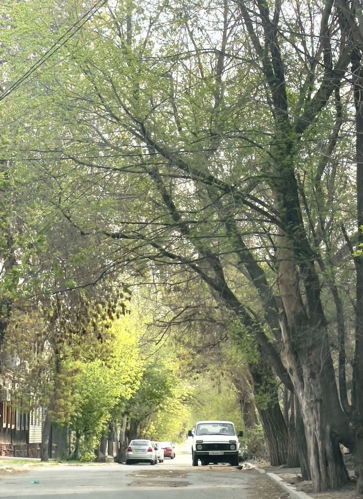 Photograph by Natalya Царева