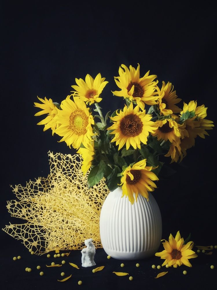 Photograph by Новикова Елена Сергеевна