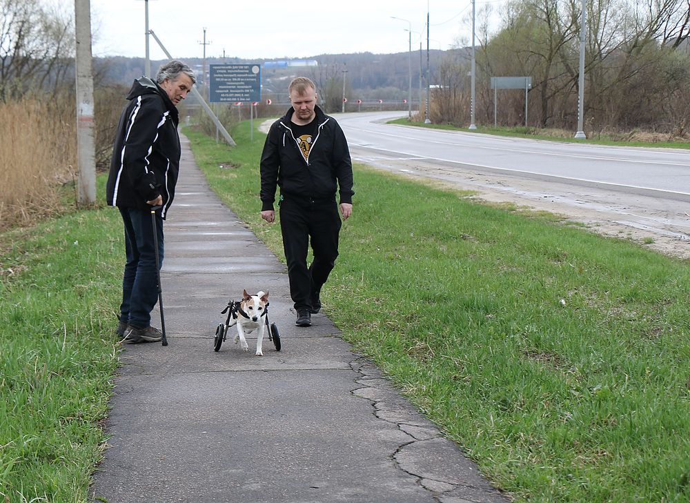 Движение вперед