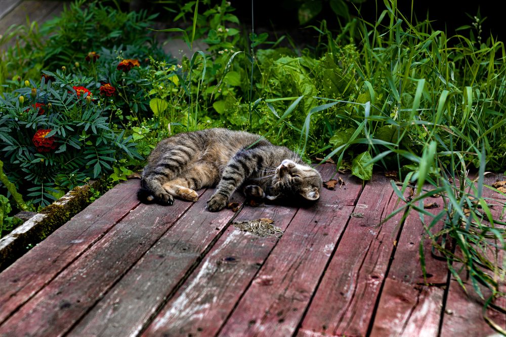 Photograph by Сергей Аникушин