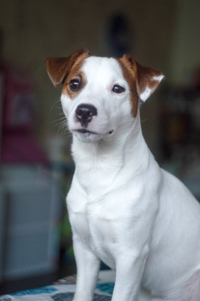 Photograph by Кристина Доманина