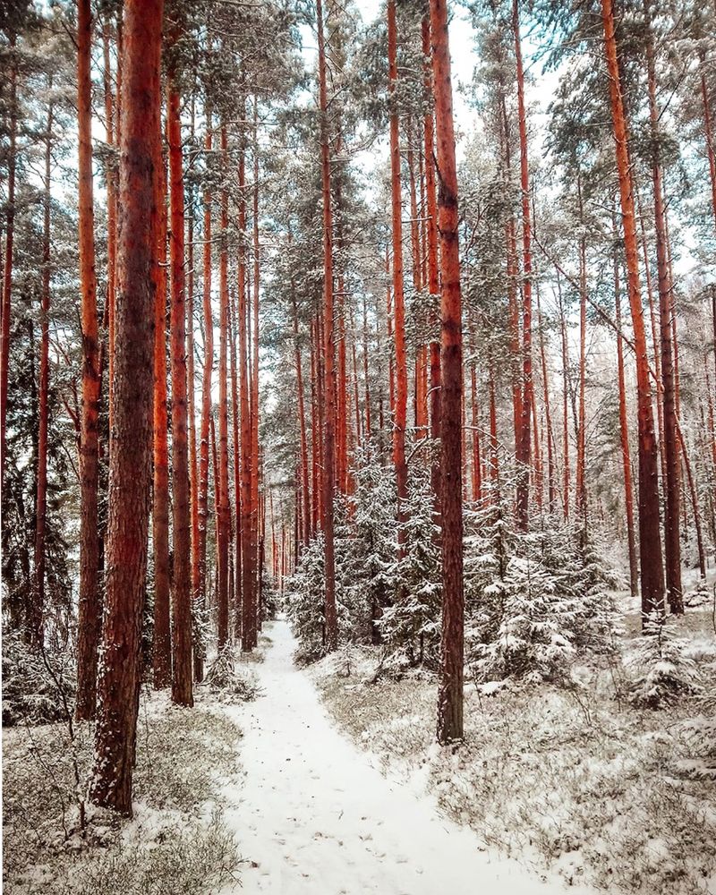 Фотография автора Юрий Цыркунов