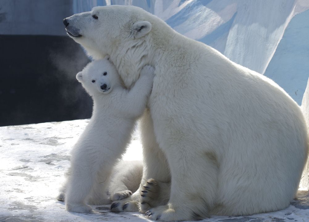 Photograph by Михаил Измайлов